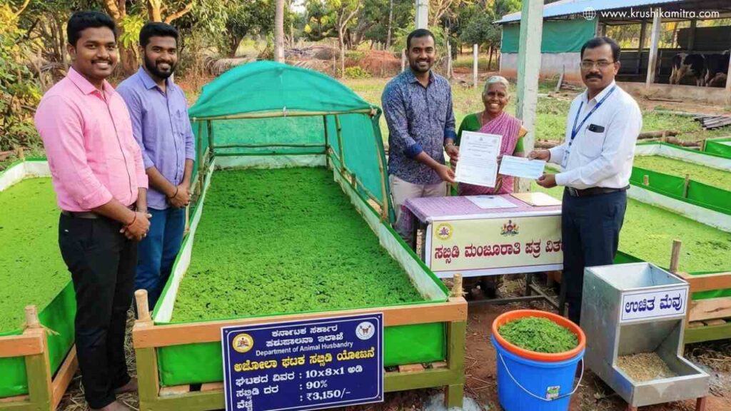 Azolla Unit Subsidy-ರಾಜ್ಯದಲ್ಲಿ ಜಾನುವಾರುಗಳಿಗೆ 3,78,00,000 ರೂಪಾಯಿ ವೆಚ್ಚದಲ್ಲಿ 12,000 ಅಜೋಲಾ ಘಟಕಗಳ ಸ್ಥಾಪನೆಗೆ ಚಾಲನೆ!
